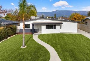 a house with a palm tree in the yard at Cozy beautiful house in Glendora