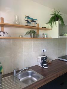 Kuchyň nebo kuchyňský kout v ubytování Tiki Ora Lodge - Manu + 24 fotografií