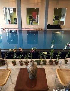 Bazén v ubytování Home away from home , secured home stay for women in Colombo suburbs Gated resident, five star facility, Opal residencies Malabe , Colombo nebo v jeho okolí