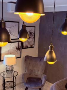 Posedenie v ubytovaní Apartman Pannonica Pin 0-24h