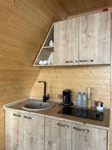 Cucina o angolo cottura di Panorama Sarpi