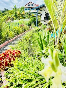 Gîte Délia Les Makes外面的花园