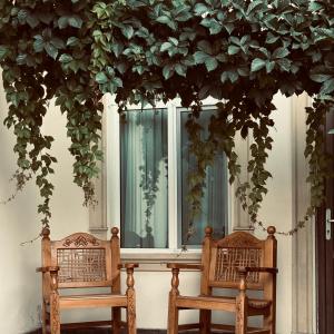 Φωτογραφία από το άλμπουμ του The Loft Guest House στη Σαμαρκάνδη