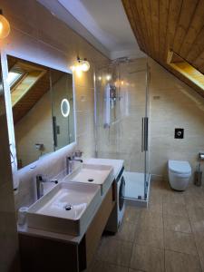 a bathroom with a sink and a shower and a toilet at Platán Ház Révfülöp in Révfülöp