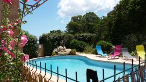 basen z 3 krzesłami i basen w obiekcie appartement climatisé 35 m2 pour 1 couple - piscine partagée - w mieście Porto-Vecchio