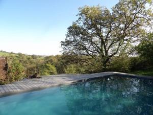 a large pool of blue water next to a tree at La maison lotoise d'Alice et Jeanne in Faycelles