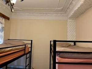 Voodi või voodid majutusasutuse Long Tree Hostel - Comfy Mattress toas