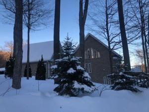 Un arbre de Noël dans la neige devant une maison dans l'établissement Cottage apartments at Lake Huron, à Midland