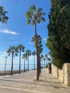 una acera con palmeras en la playa en Excelentes Vistas ante el Mar, en Sant Carles de la Ràpita
