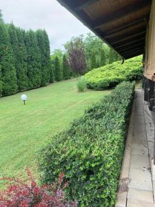 a garden with a golf ball in a field at Seosko turističko domaćinstvo Jolović GUČA Veles in Guča
