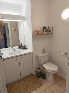 a bathroom with a toilet and a sink and a mirror at Studio vue montagnes RDC piscine in Cauterets +40 photos
