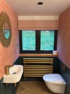 a bathroom with a sink and a toilet and a mirror at Holly studio in Midhurst +11 photos