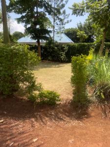 un jardín con arbustos y una casa al fondo en Home away from home, en Moshi 13 fotos más