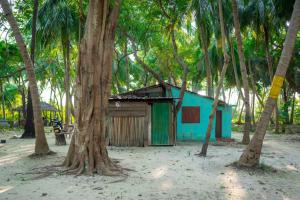 a blue shack in the middle of a forest of palm trees at Thapovanam in Allaippiddi
