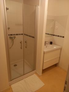 ラランスにあるappartement centre ville de Laruns 2 ou 3 personnesのシャワーと洗面台付きのバスルーム