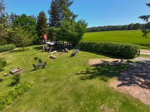 - une vue sur une pelouse avec des chaises et un grill dans l'établissement Ferienwohnungen am Waldrand, à Ahrenshagen