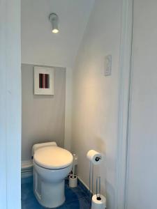 a bathroom with a white toilet in a room at Le petit 31 in Marcigny +9 photos