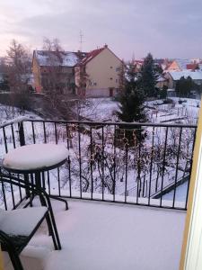 Zita Apartman v zime