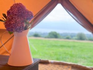 a vase with purple flowers sitting on a window sill at Furnished Bell Tent 4 in St Austell