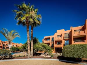 a palm tree in front of a building at Sea breeze Sotavento III in La Tejita