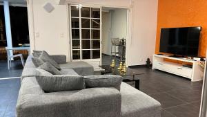 TV a/nebo společenská místnost v ubytování Secret River - Spacieuse villa de 4 chambres, 3 salle de bain, Piscine, spa avec plus de 400 ml de Rivière privée