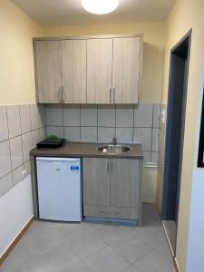 Kuchyň nebo kuchyňský kout v ubytování Sobe Krin - Smestaj Canj
