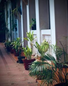 Mynd úr myndasafni af Paradise Inn Beach Resort í Varkala