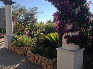 a garden with purple flowers in white pots at Hotel Al Mulino in Anacapri