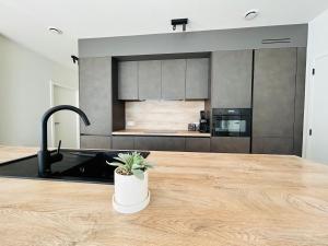 Fotografie z fotogalerie ubytování Loft Henri v destinaci Roeselare