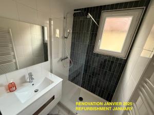 a bathroom with a sink and a shower and a mirror at Les Appartements Chambon in Sarlat-la-Canéda