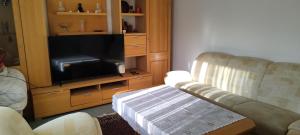 a living room with a couch and a television at Charming Apartment near Nature and Mercedes in Sindelfingen