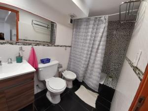 a bathroom with a toilet and a sink and a shower at Morada del sur in Ushuaia