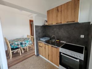 コトルにあるForest Apartmentsのキッチン(シンク、コンロ付) 上部オーブン
