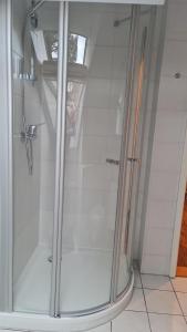 a shower with a glass door in a bathroom at Villa Rennerberg in Radebeul +10 photos