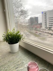 Γενική άποψη της πόλης Στοκχόλμη ή θέα της πόλης από  αυτό το διαμέρισμα