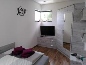 a bedroom with a bed and a flat screen tv at Little Gem in Binningen