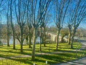 un grupo de árboles en un parque junto a una carretera en KIKOR, belle vue sur le Loiret, en Saint-Pryvé-Saint-Mesmin
