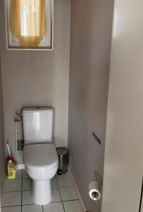 a bathroom with a white toilet and a mirror at appartement bayonne in Bayonne
