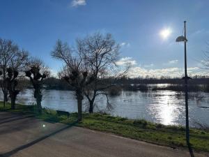 vista su un fiume con un lampione e alberi di Écrin de Loire a Pouilly-sur-Loire