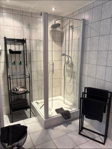 a shower with a glass door in a bathroom at Ferienwohnung EG AusZeit in Bad Bertrich +20 photos