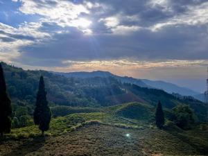 a view of a hill with trees and mountains at Payun Homestay in Mirik