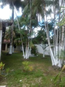 a yard with palm trees in front of a house at Aconchego do Viana in Belém