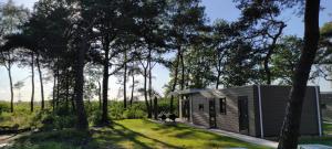 een kleine hut in het bos met een hond buiten bij casa bosrust in Haarle