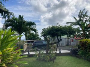a car parked in a driveway in a yard with trees at Bungalow ROUGE GITES PASSION in Capesterre-Belle-Eau