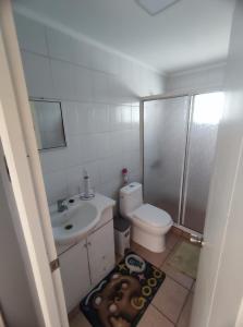 un piccolo bagno con un water e un lavandino di Cabaña Paihuano Valle del Elqui a Paihuano
