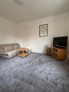 TV a/nebo společenská místnost v ubytování Gemütliche 2 Zimmer Wohnung in bester Lage