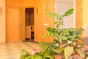 Kép Pension- Appartement Kristall szállásáról Tröpolachban a galériában