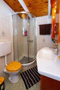 a bathroom with a shower and a toilet and a sink at Cozy House with Amazing View and Unique Outdoor! in Loutra Edipsou +55 photos