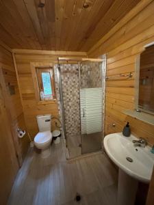 A bathroom at Chalet Sofia