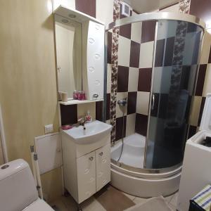 ein Badezimmer mit Dusche, Waschbecken und Toilette in der Unterkunft Apartment - Panasa Myrnoho 20 in Myrhorod